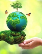 Top 10 Reasons for You to Fulfill a Wish Today!