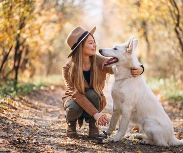 10 Best Gifts Ideas for dogs and true dog lovers!