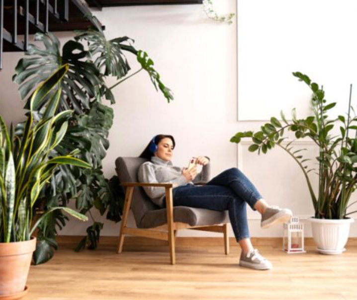 Creating a Conscious Home for Sustainable and Mindful Living