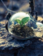 Exploring the World Responsibly: A Guide for Sustainable Travel Planning and Practice