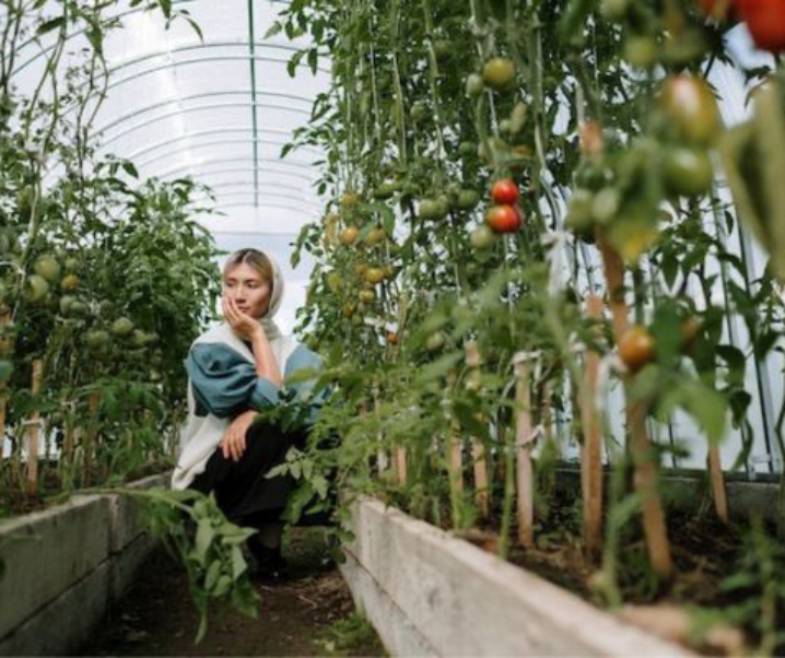 The Bountiful Benefits of Community Gardening