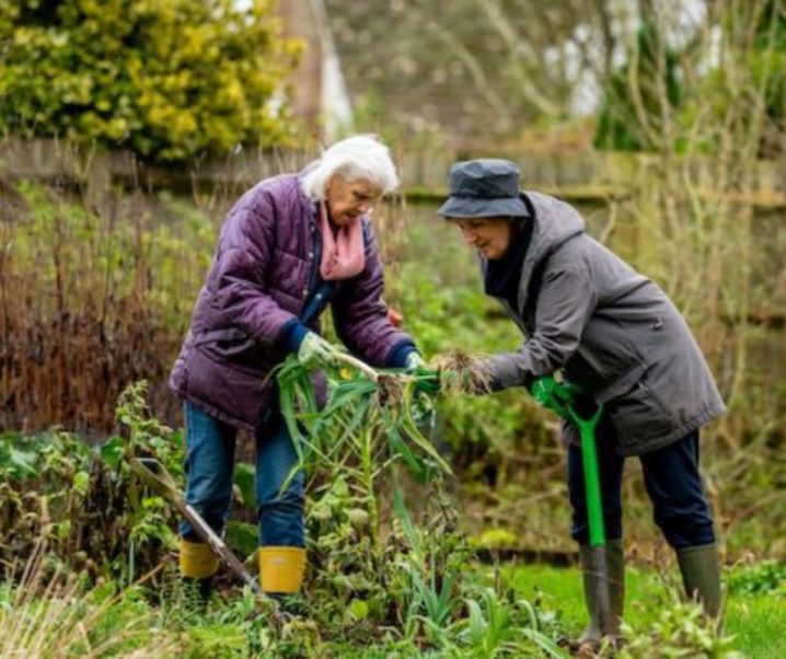 The Healing Power of Gardening