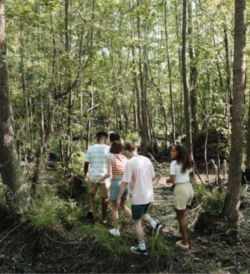 How to Maintain Immunity Stronger During Summer