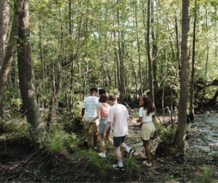 How to Maintain Immunity Stronger During Summer